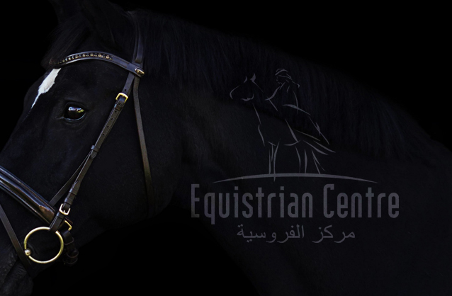 Horse riding center, Equistrian centre logo