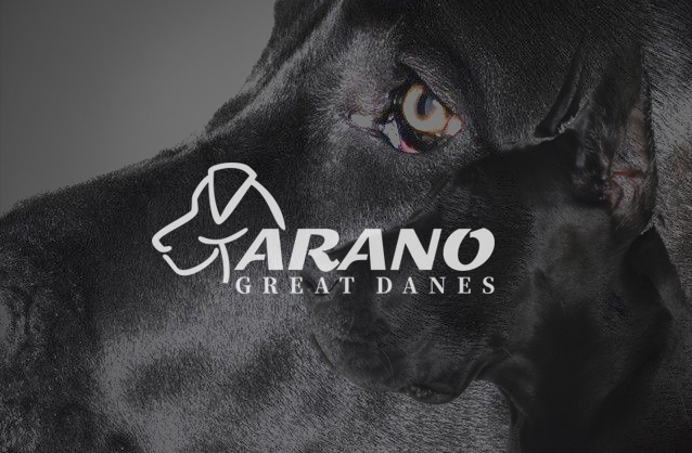 Breeder of great dane, dog logo