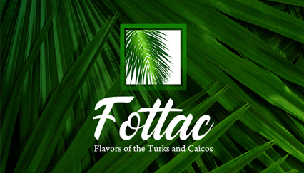 Turks and Caicos Islands souvenirs, Palm logo